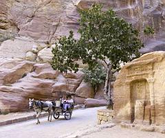 Petra IMGP3671